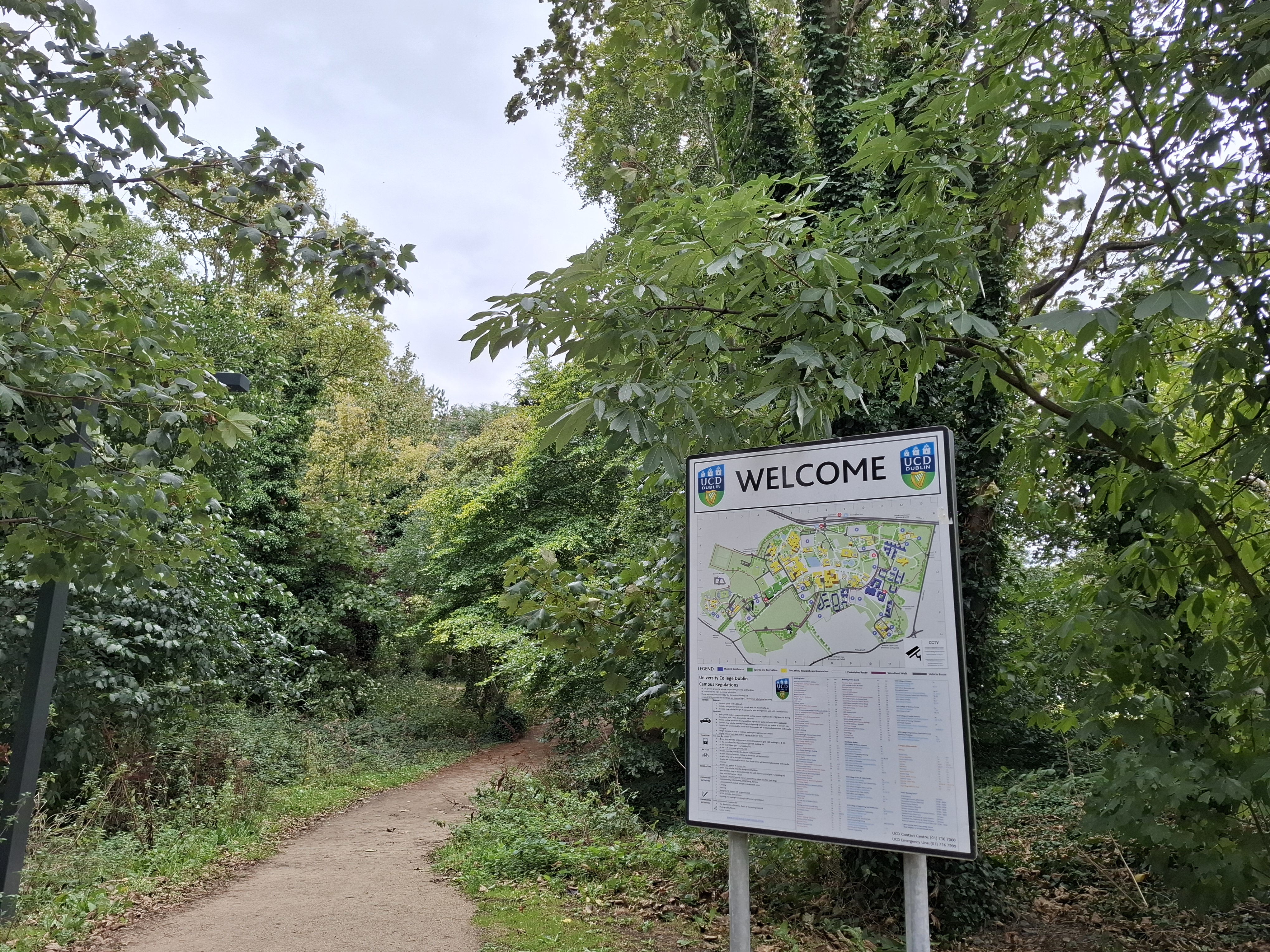 Trees with welcome sign on UCD campus